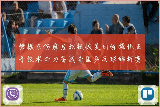 樊振东伤愈后积极恢复训练强化正手技术全力备战全国乒乓球锦标赛