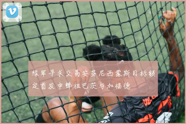 绿军寻求交易安芬尼西蒙斯目标锁定首发中锋祖巴茨与加福德