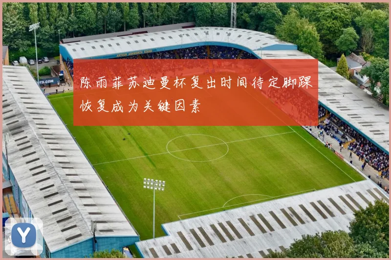 陈雨菲苏迪曼杯复出时间待定脚踝恢复成为关键因素