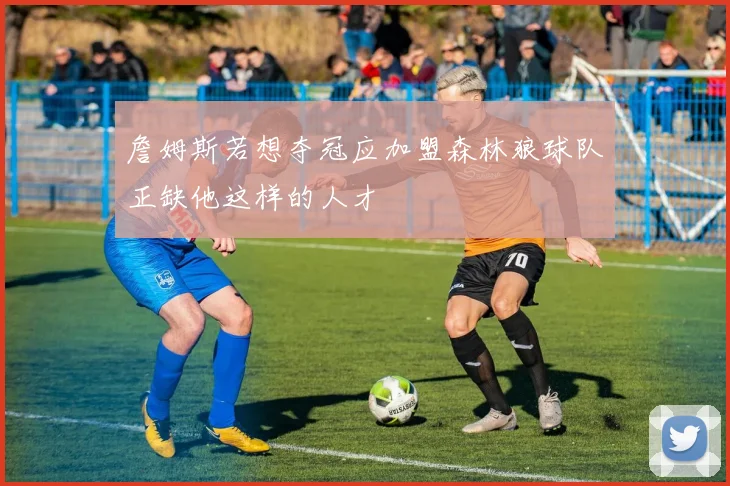 詹姆斯若想夺冠应加盟森林狼球队正缺他这样的人才